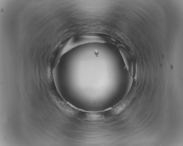 X0000076270380200609281211