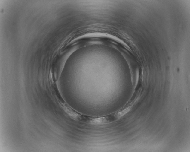 X0000076270382200609281212