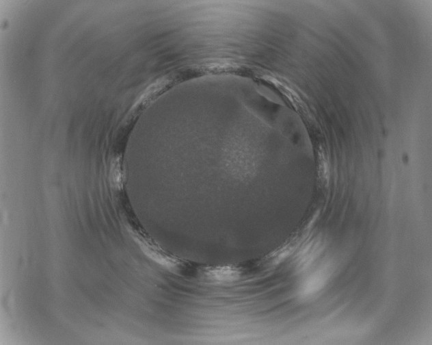 X0000076270383200609281212