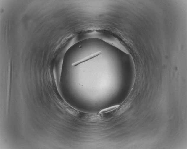 X0000076270384200609281212