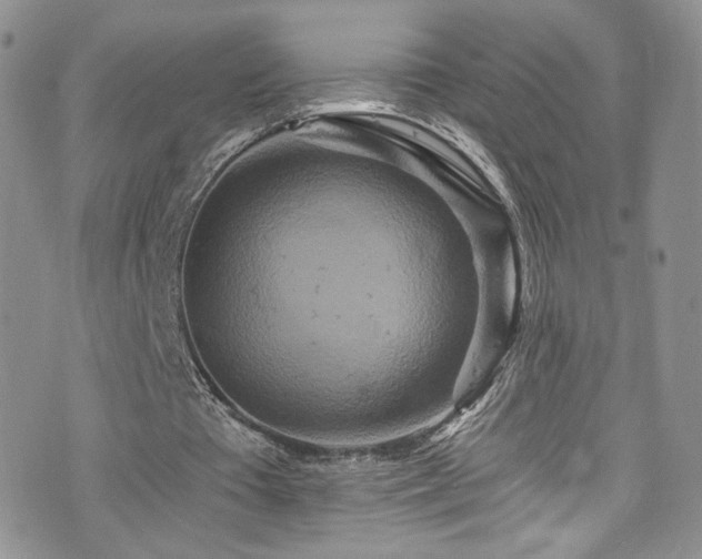 X0000076270385200609281211