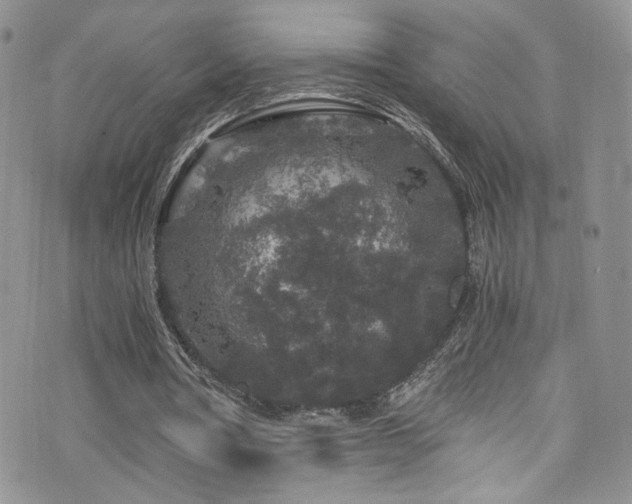 X0000076270386200609281211