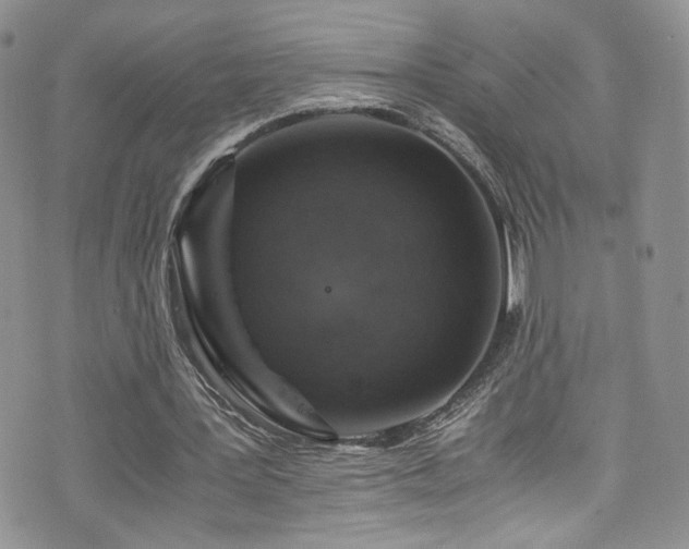 X0000076270387200609281211