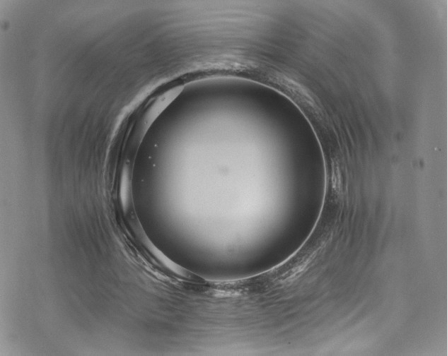 X0000076270388200609281211