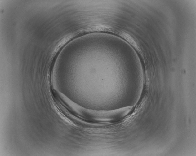 X0000076270389200609281211