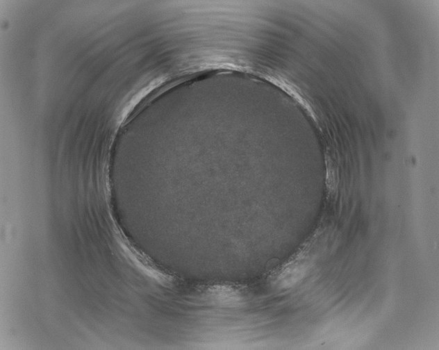 X0000076270390200609281211