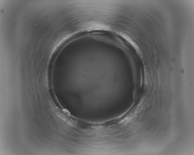 X0000076270391200609281211