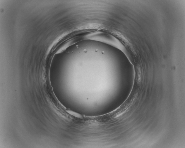 X0000076270392200609281211