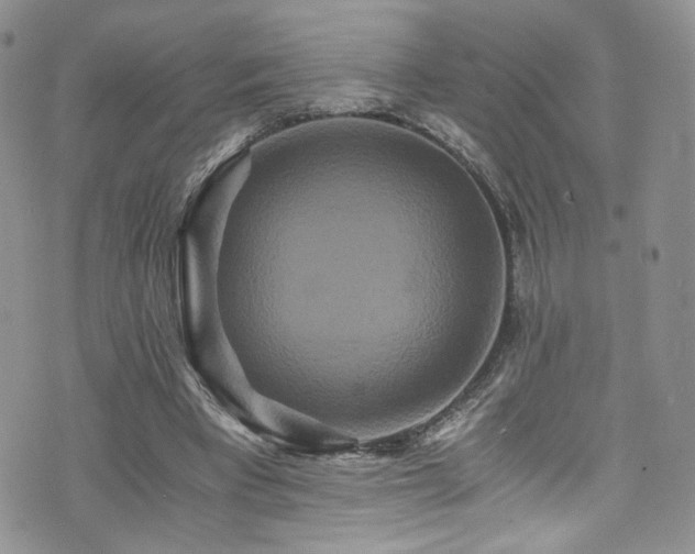 X0000076270393200609281211