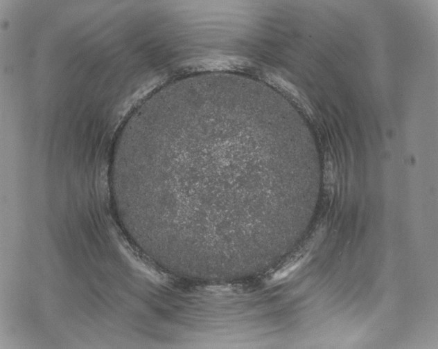 X0000076270394200609281211