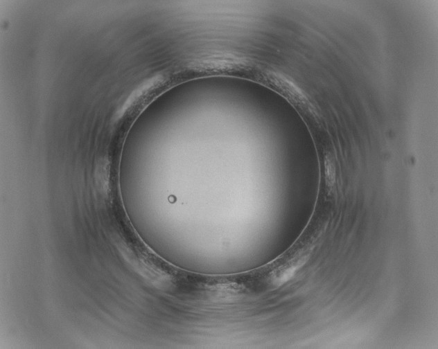 X0000076270396200609281211