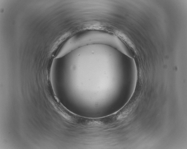 X0000076270397200609281211