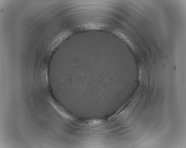 X0000076270398200609281211