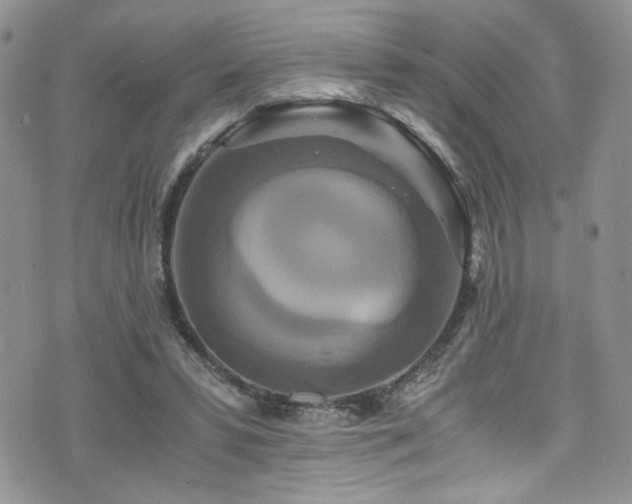 X0000076270399200609281211