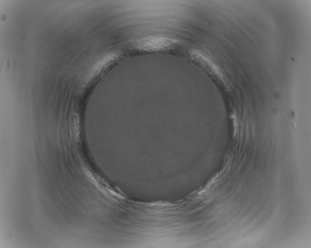 X0000076270400200609281211