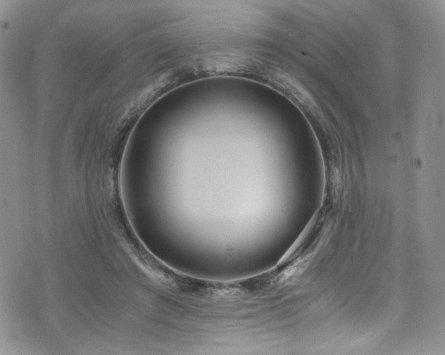 X0000076270401200609281211