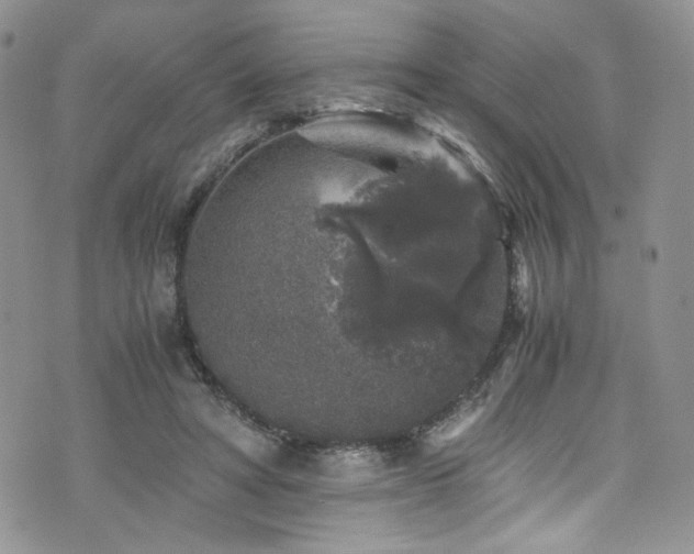 X0000076270402200609281210