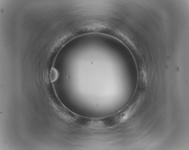 X0000076270403200609281210