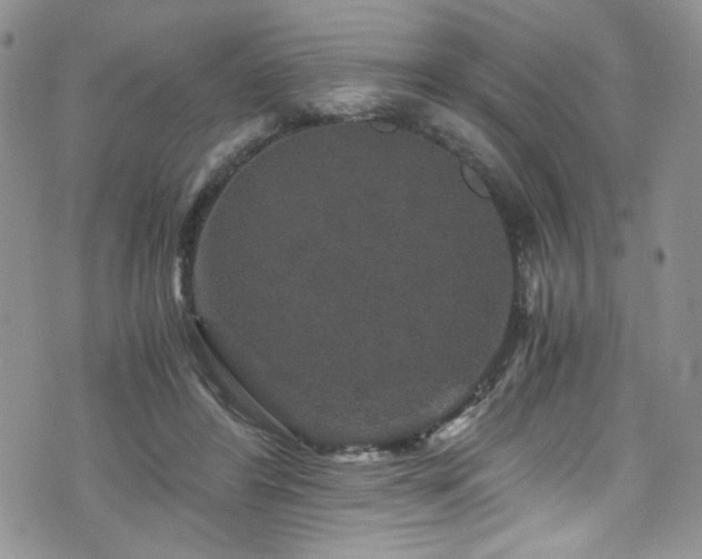 X0000076270404200609281210