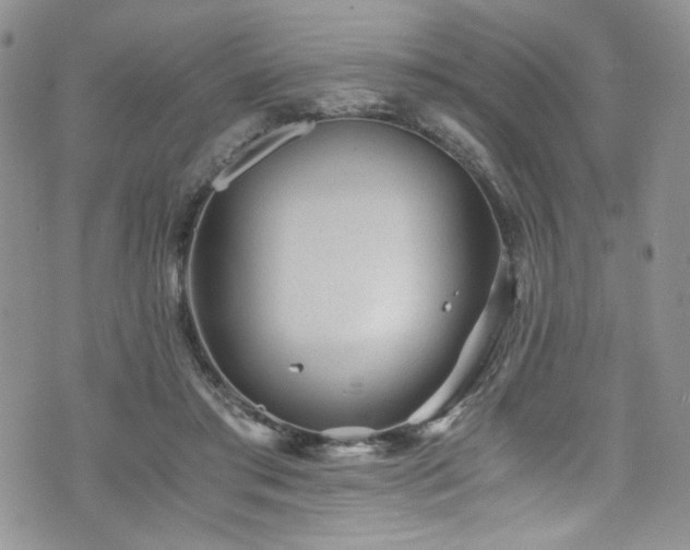 X0000076270405200609281210