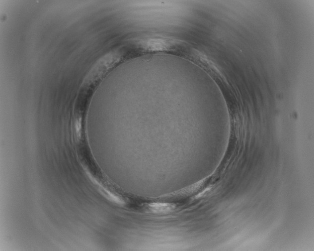 X0000076270406200609281210