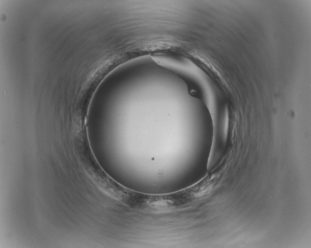 X0000076270407200609281210