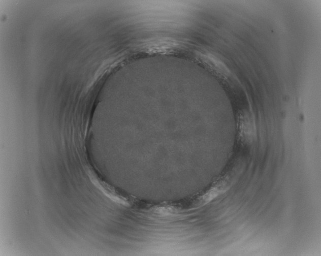 X0000076270408200609281210