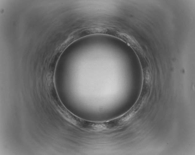 X0000076270409200609281210