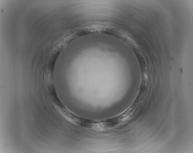 X0000076270411200609281210