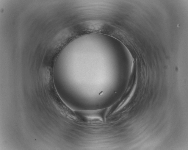 X0000076270412200609281210