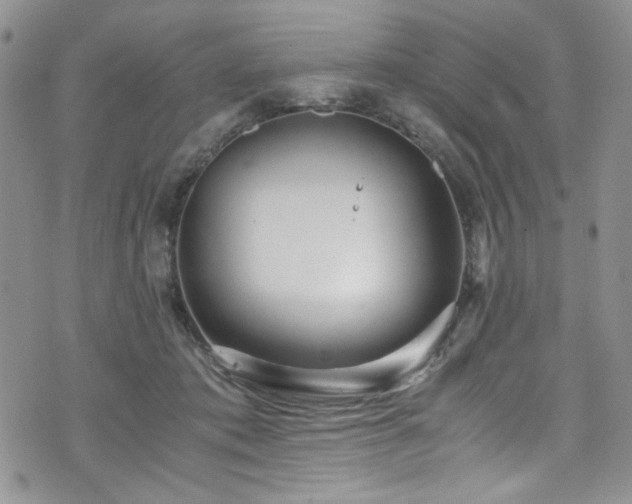 X0000076270413200609281210