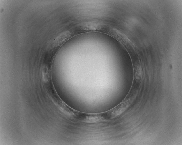 X0000076270414200609281210