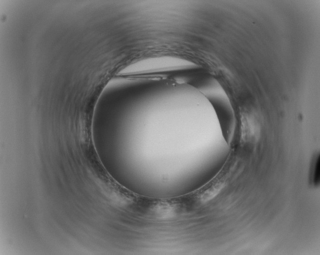 X0000076270416200609281210