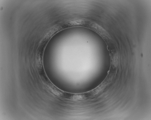 X0000076270418200609281210