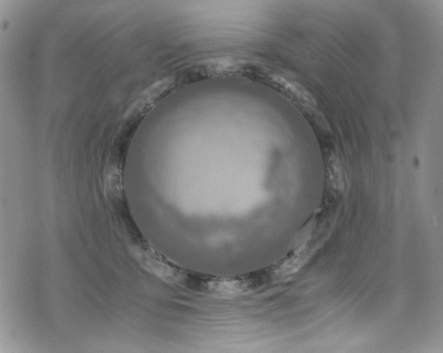 X0000076270419200609281210