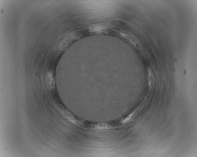 X0000076270420200609281210