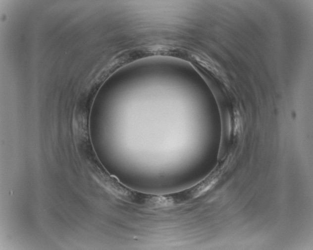 X0000076270421200609281210