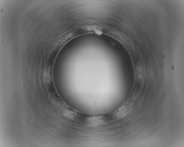 X0000076270422200609281210