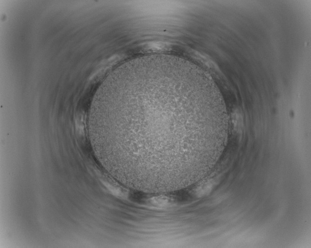 X0000076270423200609281210