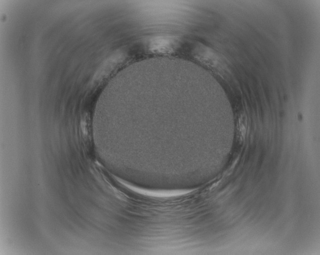 X0000076270424200609281210