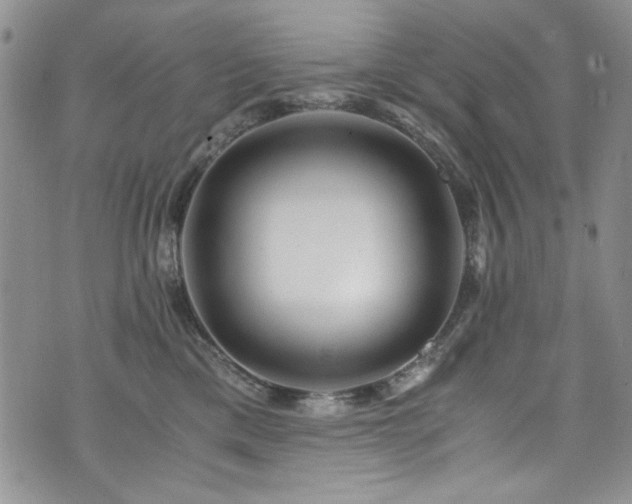 X0000076270425200609281210