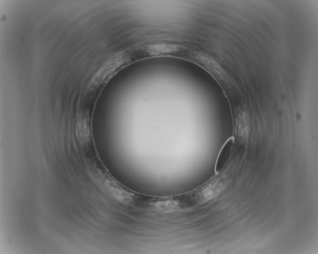 X0000076270426200609281210