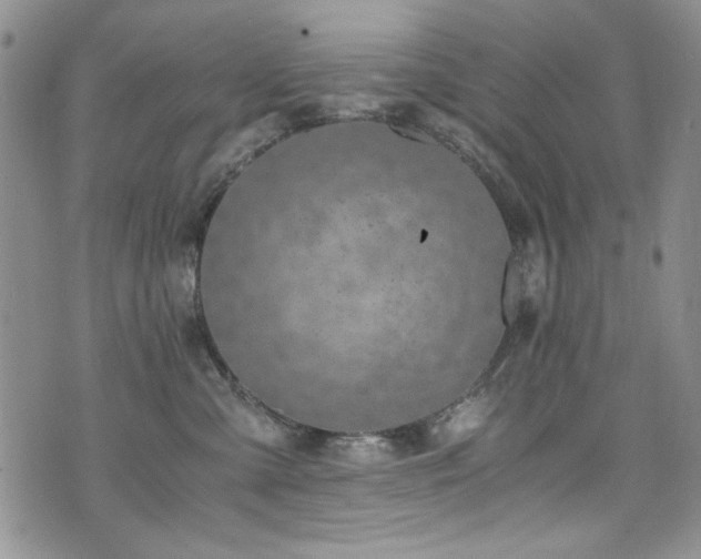 X0000076270427200609281210