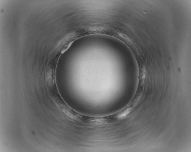 X0000076270428200609281210