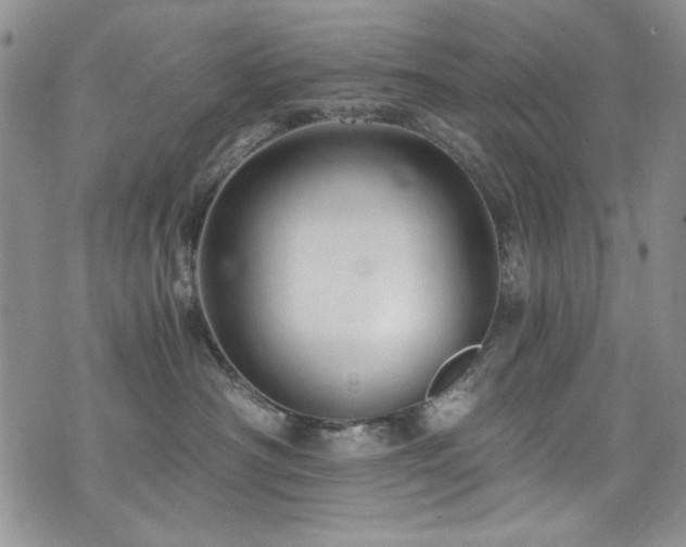 X0000076270430200609281210