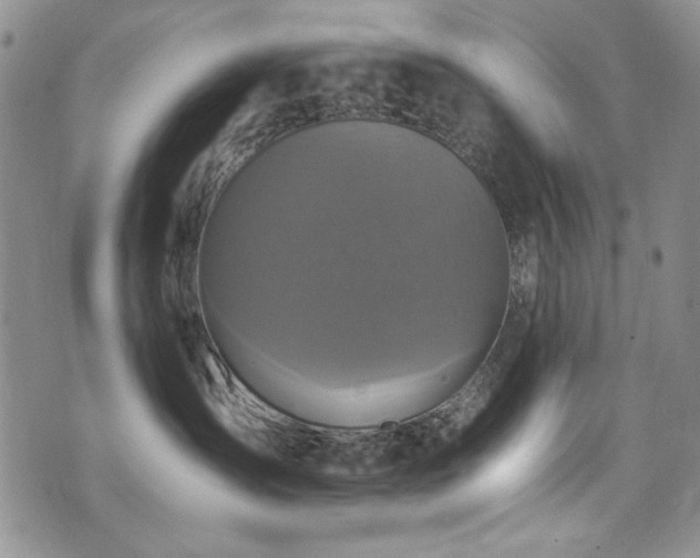 X0000076270431200609281210