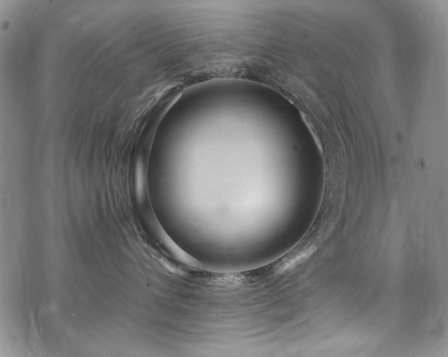 X0000076270432200609281210