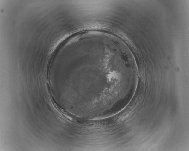 X0000076270434200609281209