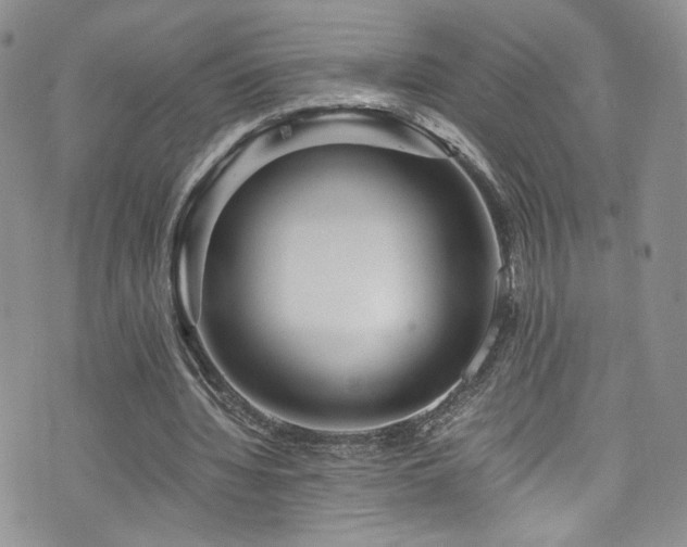 X0000076270436200609281209