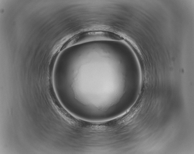 X0000076270437200609281209